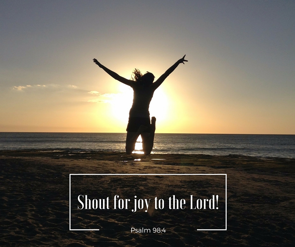 Welcome to the Van Zoest family blog: Shout for Joy to the Lord!
